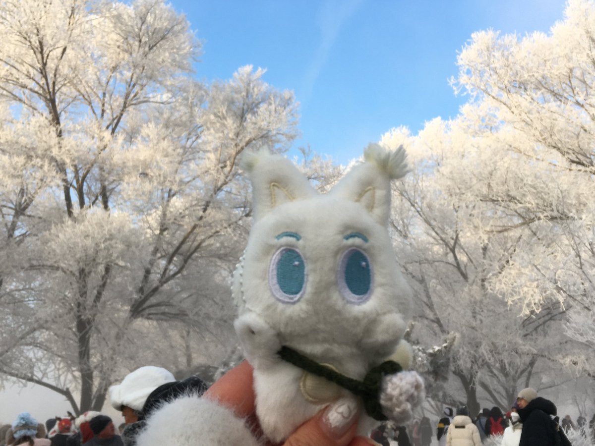 junee_S2's tweet image. 우쑹 봤어요..❄️🤍
길림의 겨울은 참 예뽀다...
런쥔이는 겨울마다 이렇게 아름다운 걸 보고 자랐구나..🩵