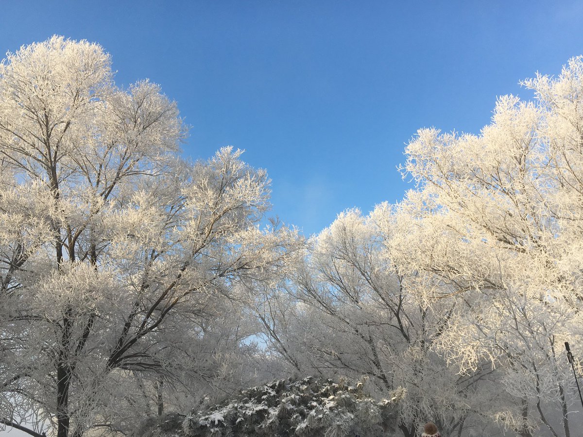 junee_S2's tweet image. 우쑹 봤어요..❄️🤍
길림의 겨울은 참 예뽀다...
런쥔이는 겨울마다 이렇게 아름다운 걸 보고 자랐구나..🩵