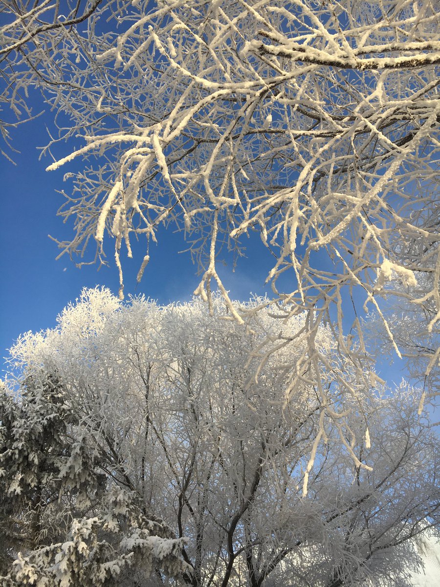 junee_S2's tweet image. 우쑹 봤어요..❄️🤍
길림의 겨울은 참 예뽀다...
런쥔이는 겨울마다 이렇게 아름다운 걸 보고 자랐구나..🩵