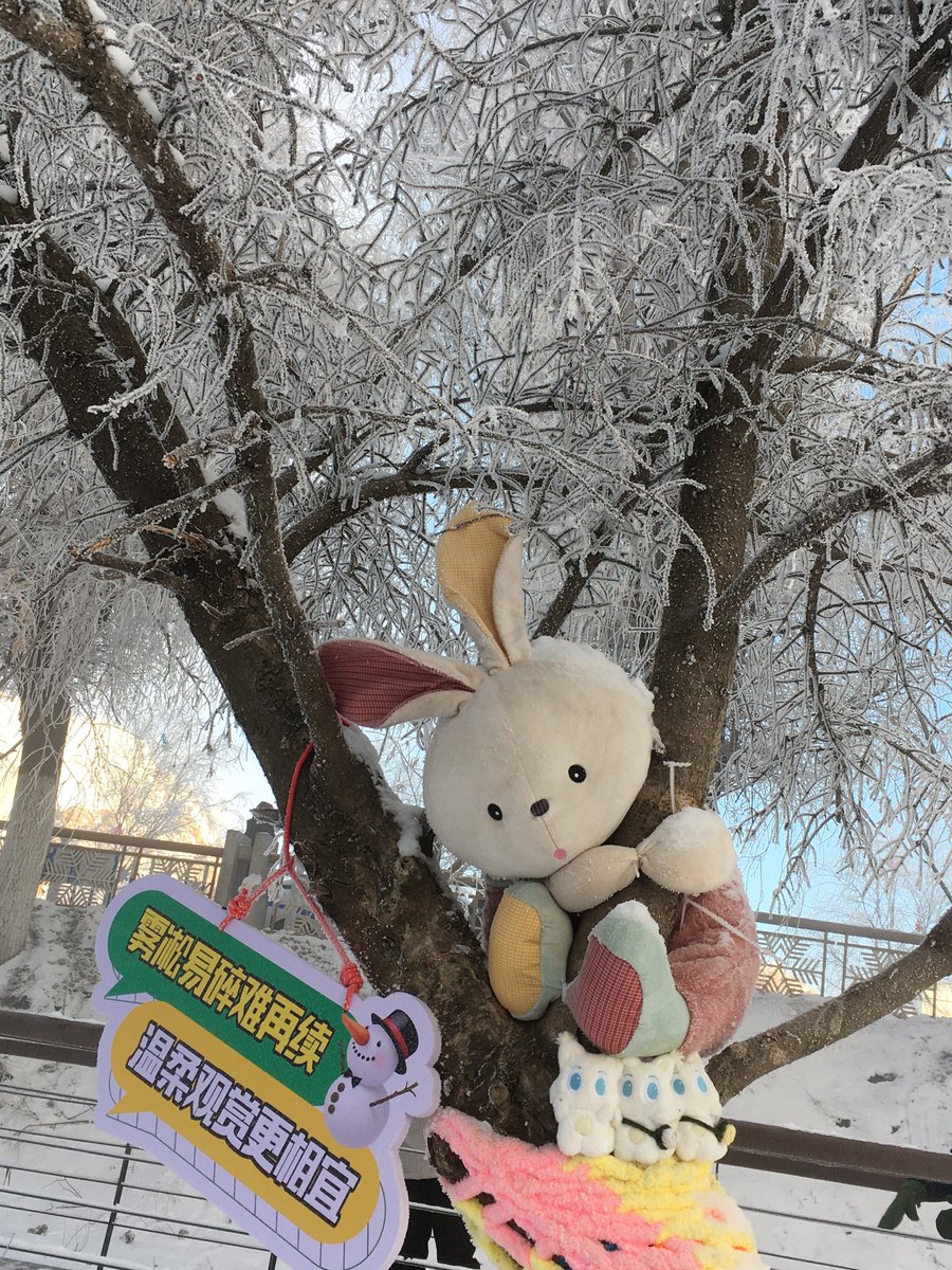 junee_S2's tweet image. 우쑹 봤어요..❄️🤍
길림의 겨울은 참 예뽀다...
런쥔이는 겨울마다 이렇게 아름다운 걸 보고 자랐구나..🩵