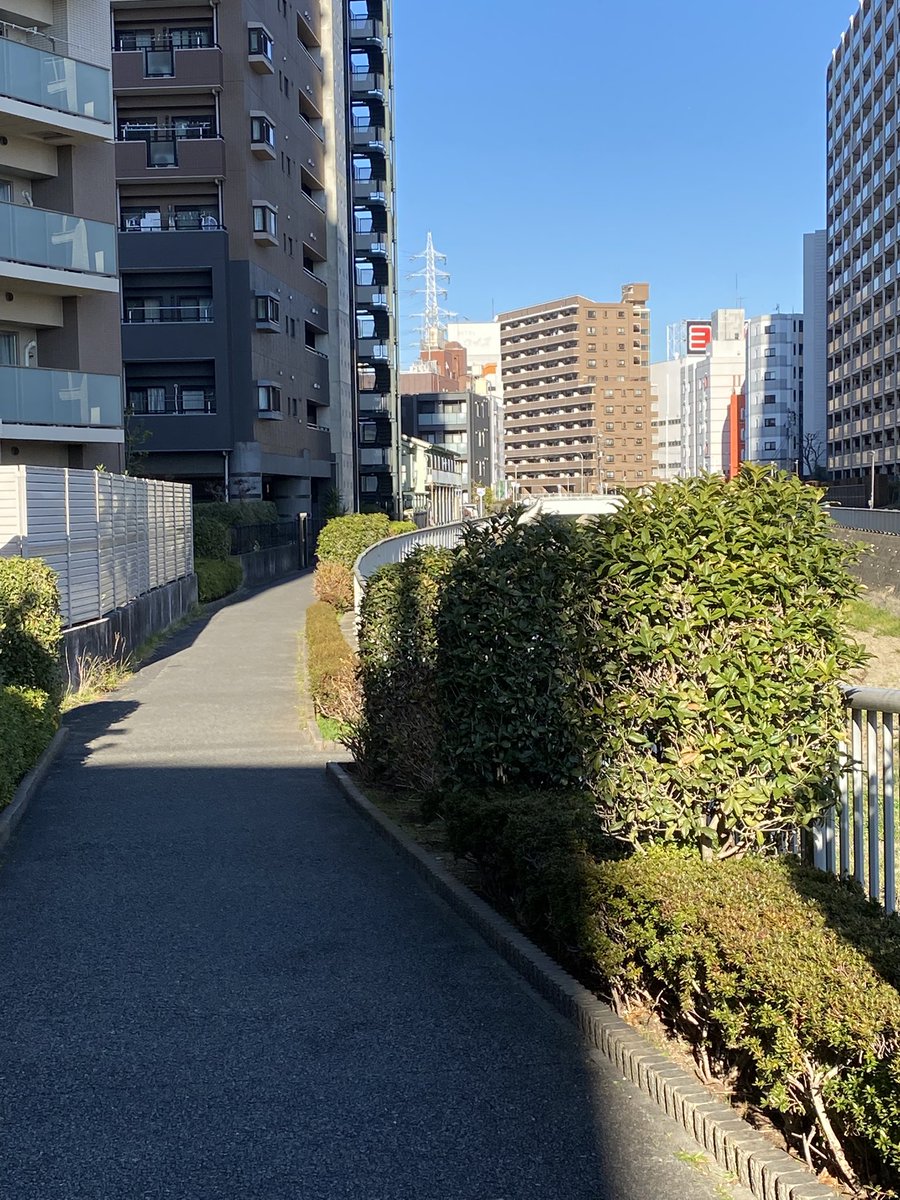 さいりゅー tweet media