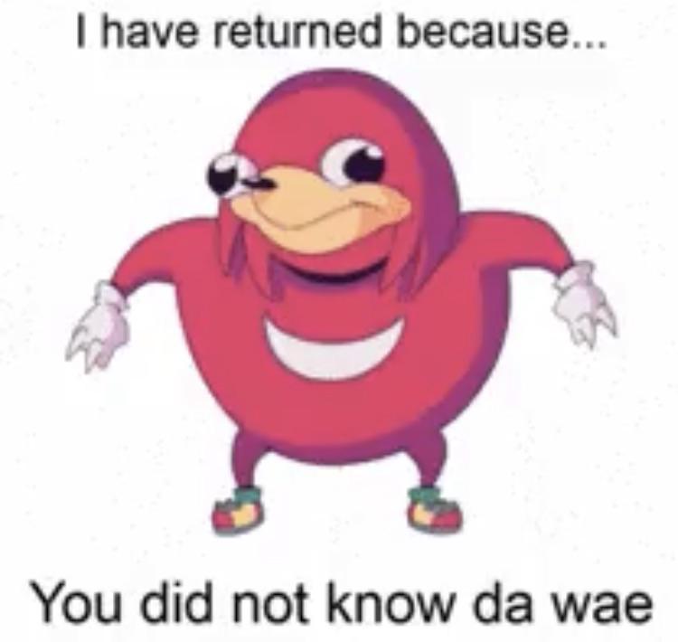 Hourly Dank Memes tweet media