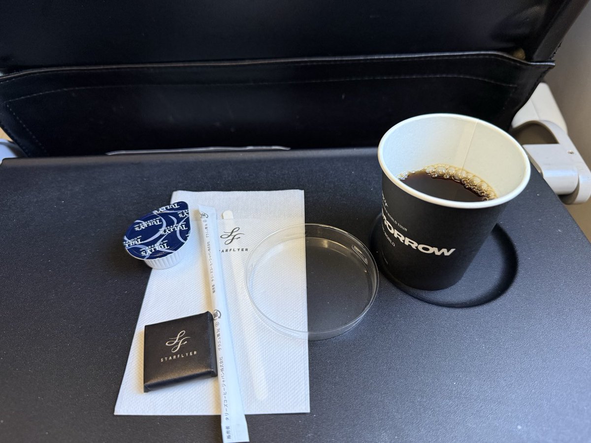 31octKazu's tweet photo. 関西空港到着🛬

富士山🗻クッキリで良き

機内のタリーズホットコーヒーとチョコ🍫も良かった。 https://t.co/hJweSN3Mso