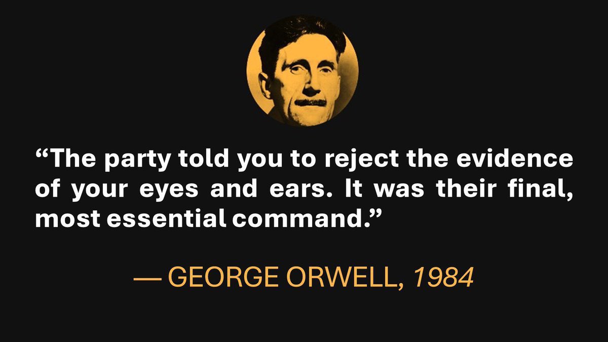 P__Rose's tweet image. 