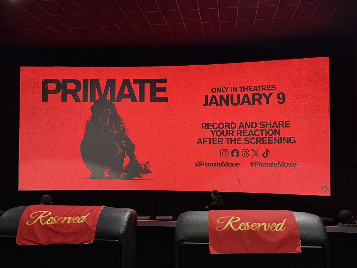 Scaredycast 🧙‍♀️💀🎃 tweet media