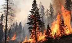 <a href="/BiancoDavinci/">DaVinci</a> Blank-slatism, cultural relativism ,social constructionism ,socialism, feminism ,forced  multiculturalism ,gender ideology