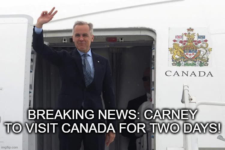 LaciMarieKnight's tweet image. 