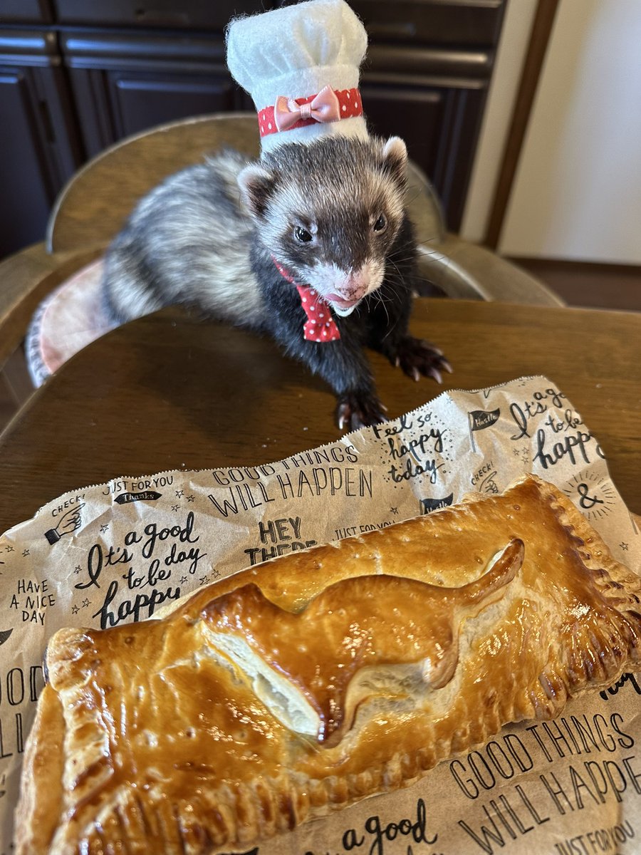 hanasakuran's tweet image. なんか手順間違えて
グダグダになったけど
見た目はなんとか…

残った生地で
ミートパイも焼いてみたよ👩‍🍳

#ferret
#フェレット
#梛
#梛シェフ