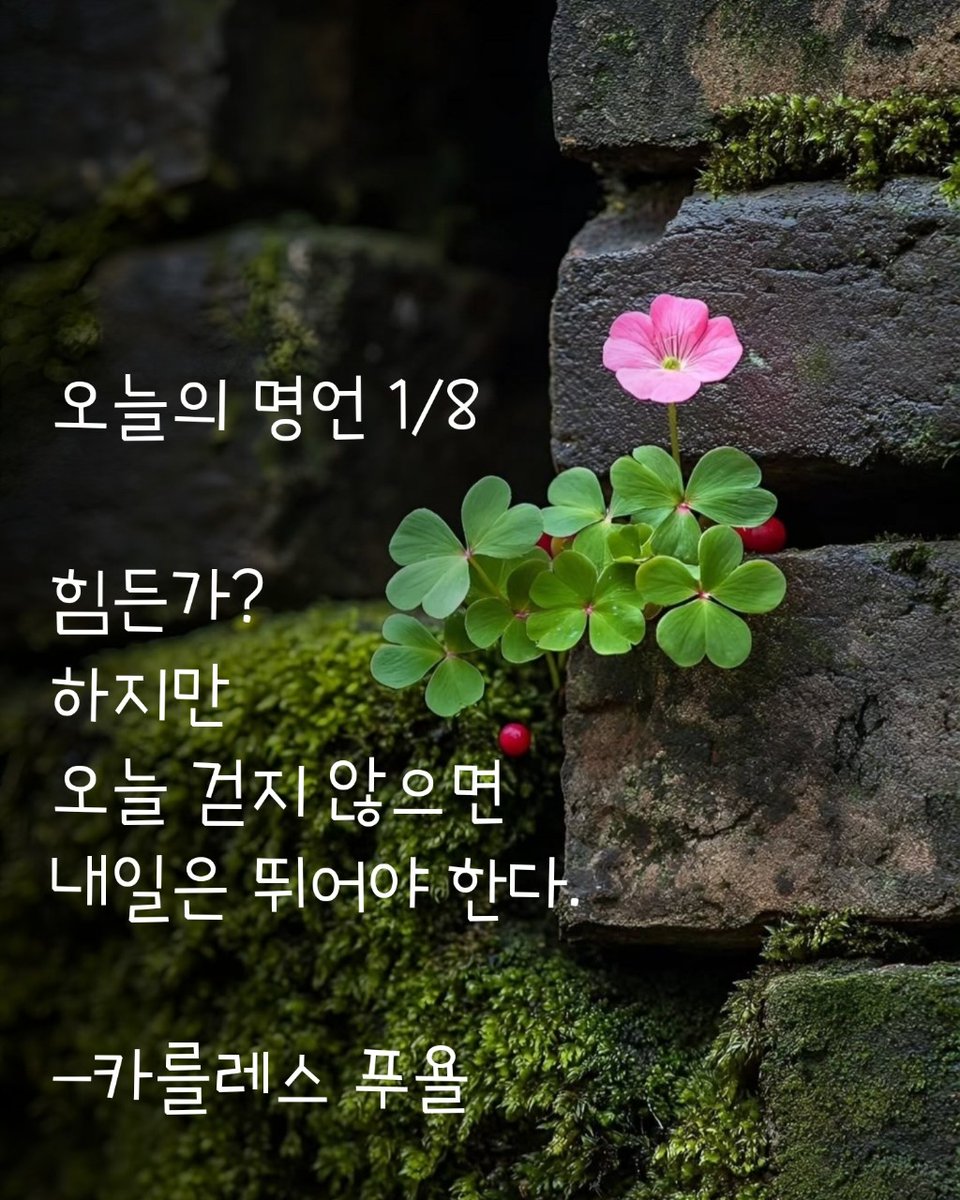 🍀

오늘의 명언 1/8