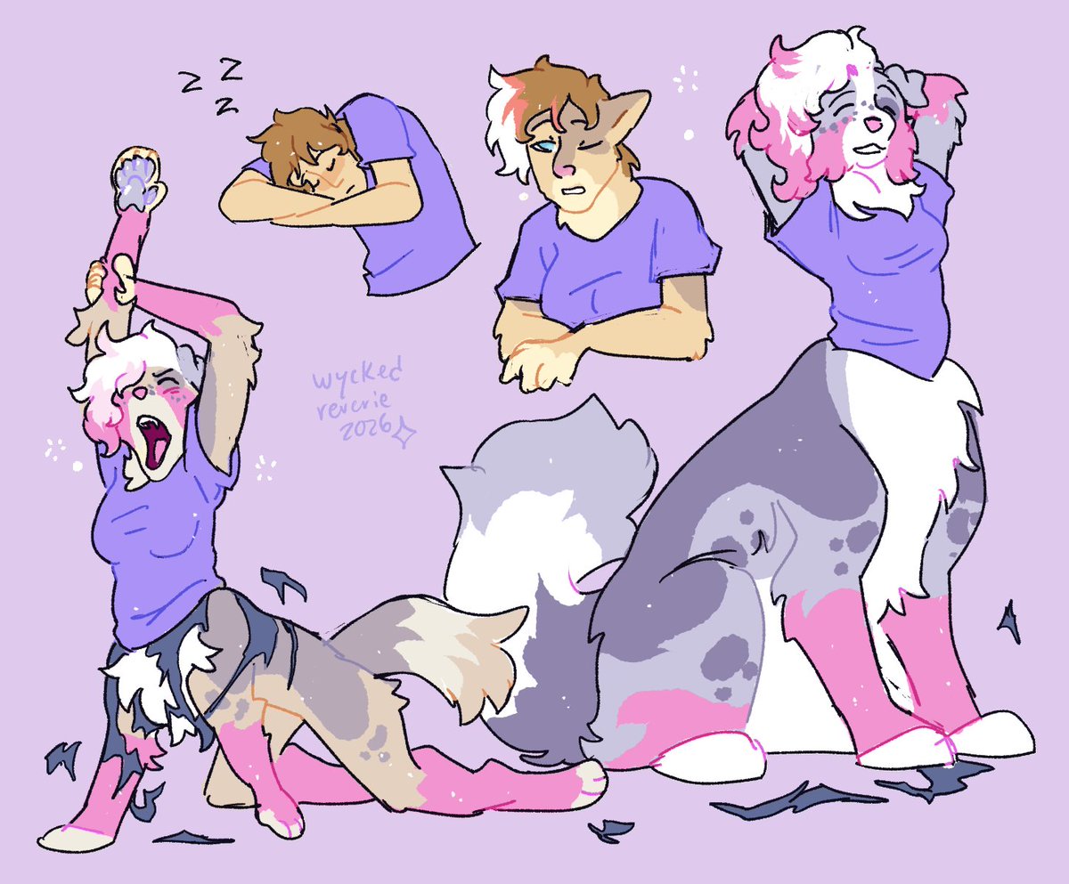 WyckedReverie's tweet image. #transfur!
These taur dreams seem to be lingering @ArkSaucyShep!🐶💤
Thanks for commissioning me!