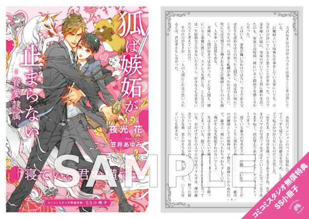 コミコミデイリーランキング💕 ✨✨1/8（木）✨✨ 👑ノベルス1位 #狐は