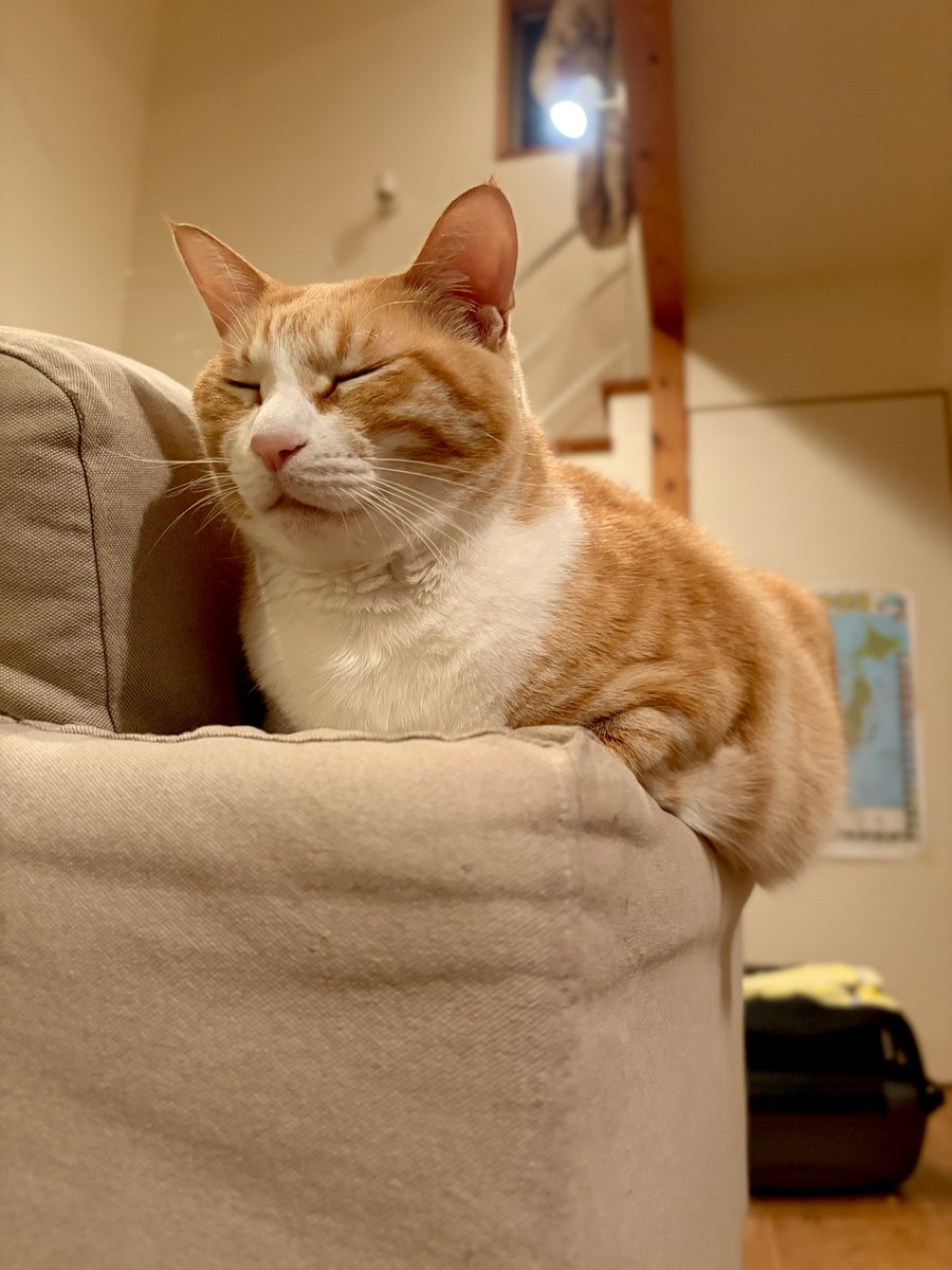 SAKUちゃん (@SakuraYnkk1) / Posts / X