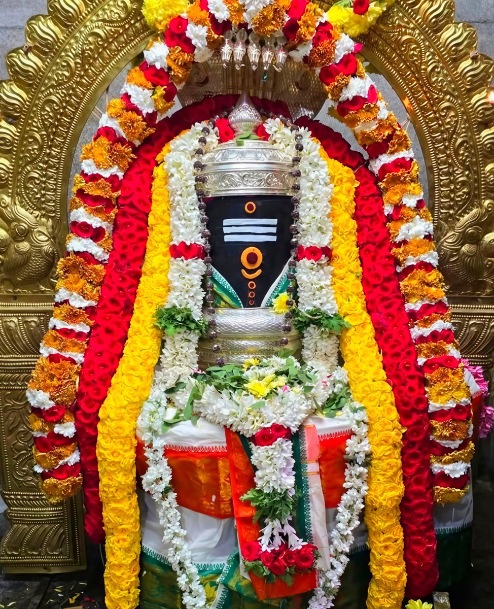 Grivalam's tweet photo. ✨திருப்பள்ளியெழுச்சி✨

பாடல் : 4

https://t.co/fVPVEVbHnr

#ஓம்நமசிவாய🔥
#OmNamaSivaya
#ओम_नम_शिवाय
#sivansongs
#hindu #god #shiva 
#lord #eswar #lordshiva
#lordshivatemple #tiruvannamalai 
#tiruvannamalaitemple 
#annamalaiar #sivan https://t.co/6QQv9sr0Zo