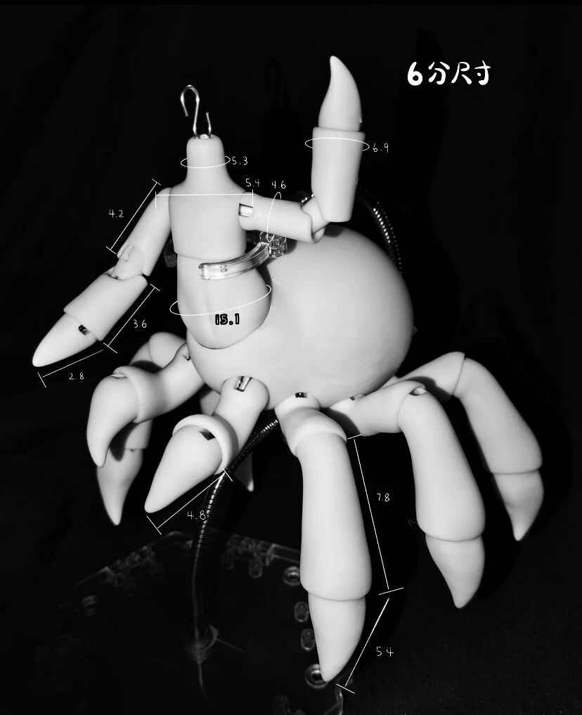 legenddollshop's tweet image. 【数量＆期間限定】#更新情報
1/6サイズドールボディ 蜘蛛体 🕷️
2026年2月10日8時まで10％OFFで受付中！
legenddoll.com/goods-146986.h…
#球体関節人形 #bjd #期間限定 #数量限定
