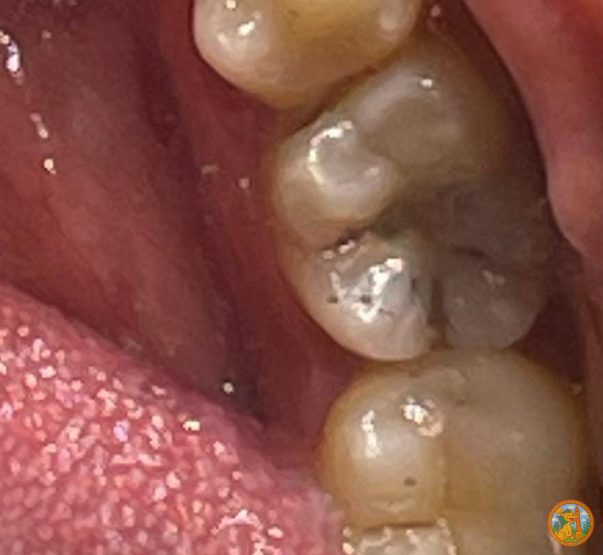 SEMARANG MENFESS tweet media