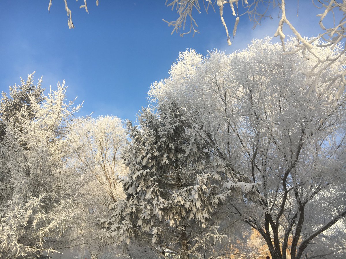 junee_S2's tweet image. 겨울의 길림을 와야 하는 이유가 이거구나 싶고.. 머리가 하얗게 얼 정도로 추운데 너무너무 예뻐...
런쥔이 덕분에 너무 좋은 기억, 예쁜 추억 많이 만들어 간다..🩵🤍