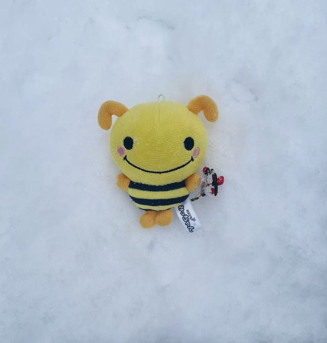 ミツバチみっちゃん【公式】 (@gs_micchan) / Posts / X