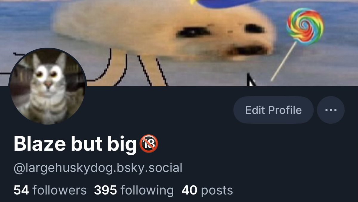 blaze but big tweet media