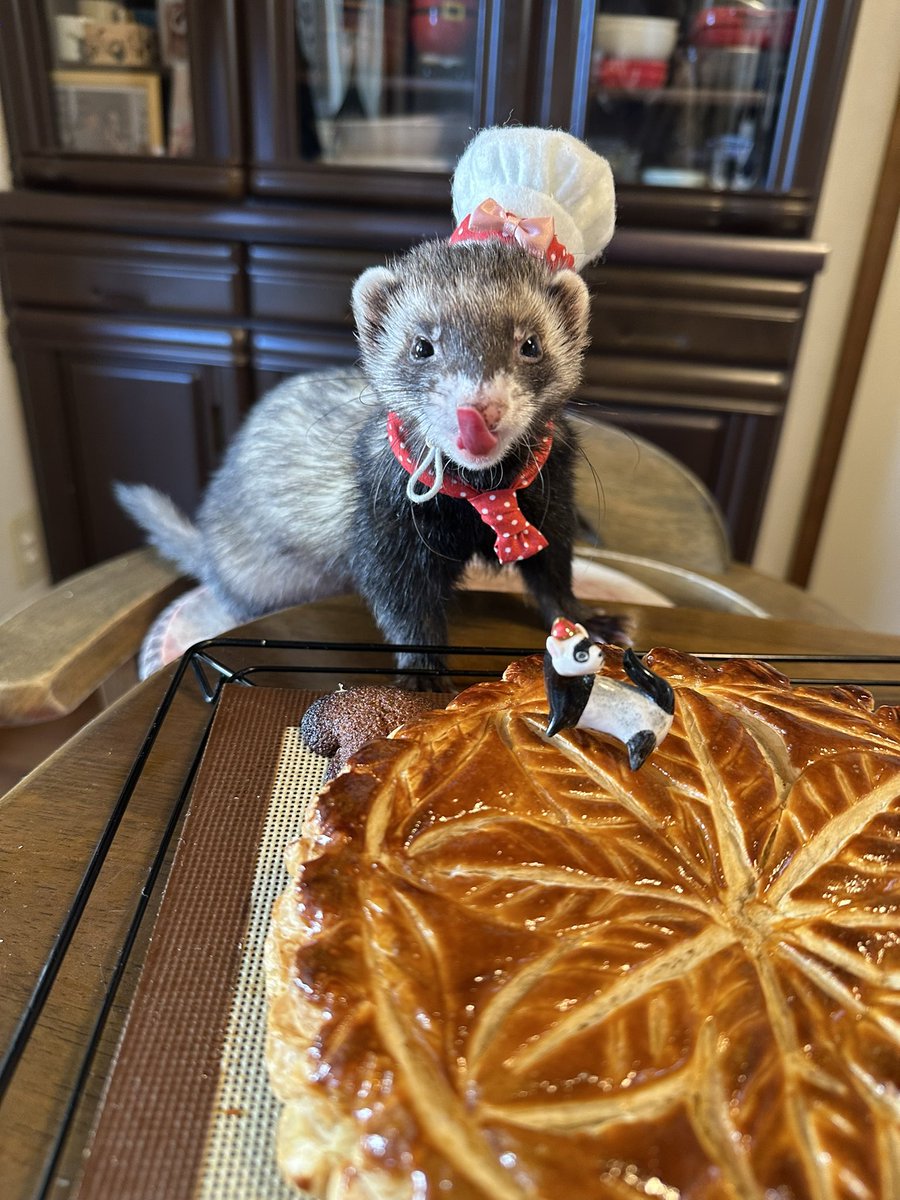 hanasakuran's tweet image. はい、完成👩‍🍳

フェーヴのフェレットさんは
上に添えて😂

#ferret
#フェレット
#梛
#梛シェフ