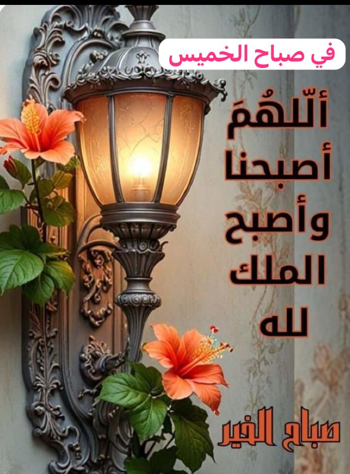 AH_IRQA's tweet image. ♤♤♤
لك الحمد يارب على كل الطيبات التي تضعها في طريقي ،
لك الحمد على الطمأنينة التي تضعها في قلبي ،
لك الحمد على النور الذي تضعه في كل لحظة معتمة وتجعلني
أدركه ..
لك الحمد يا الله على كل النعم .
.
#صباح_الخير  🌸🙏