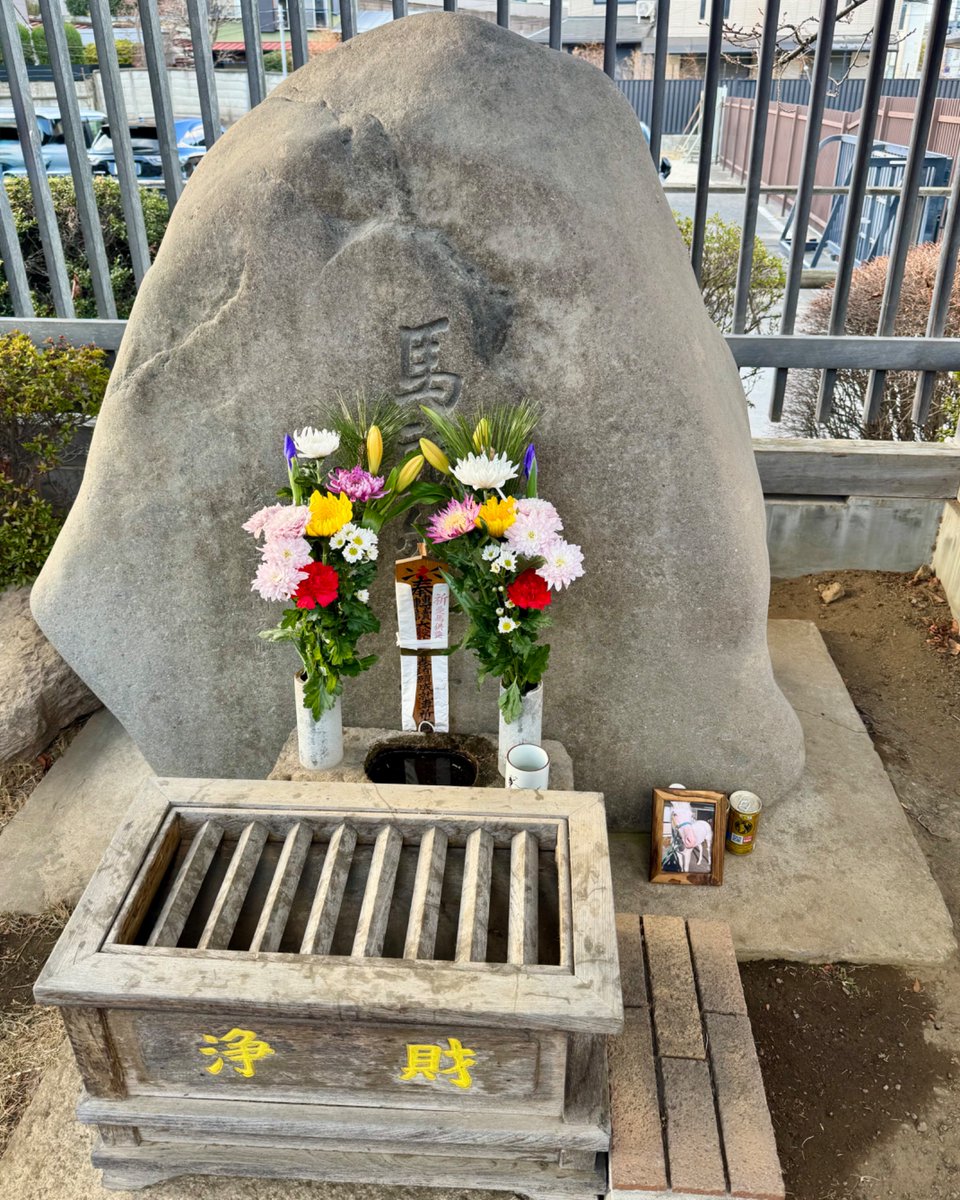 的場文男 (@fumio230uma) / Posts / X