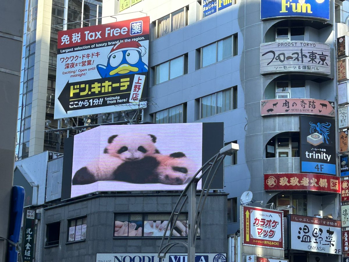 ゆっこ　2点おまとめ 松坂屋を出たところで出会ったこの子たちは上野の子たちなのか