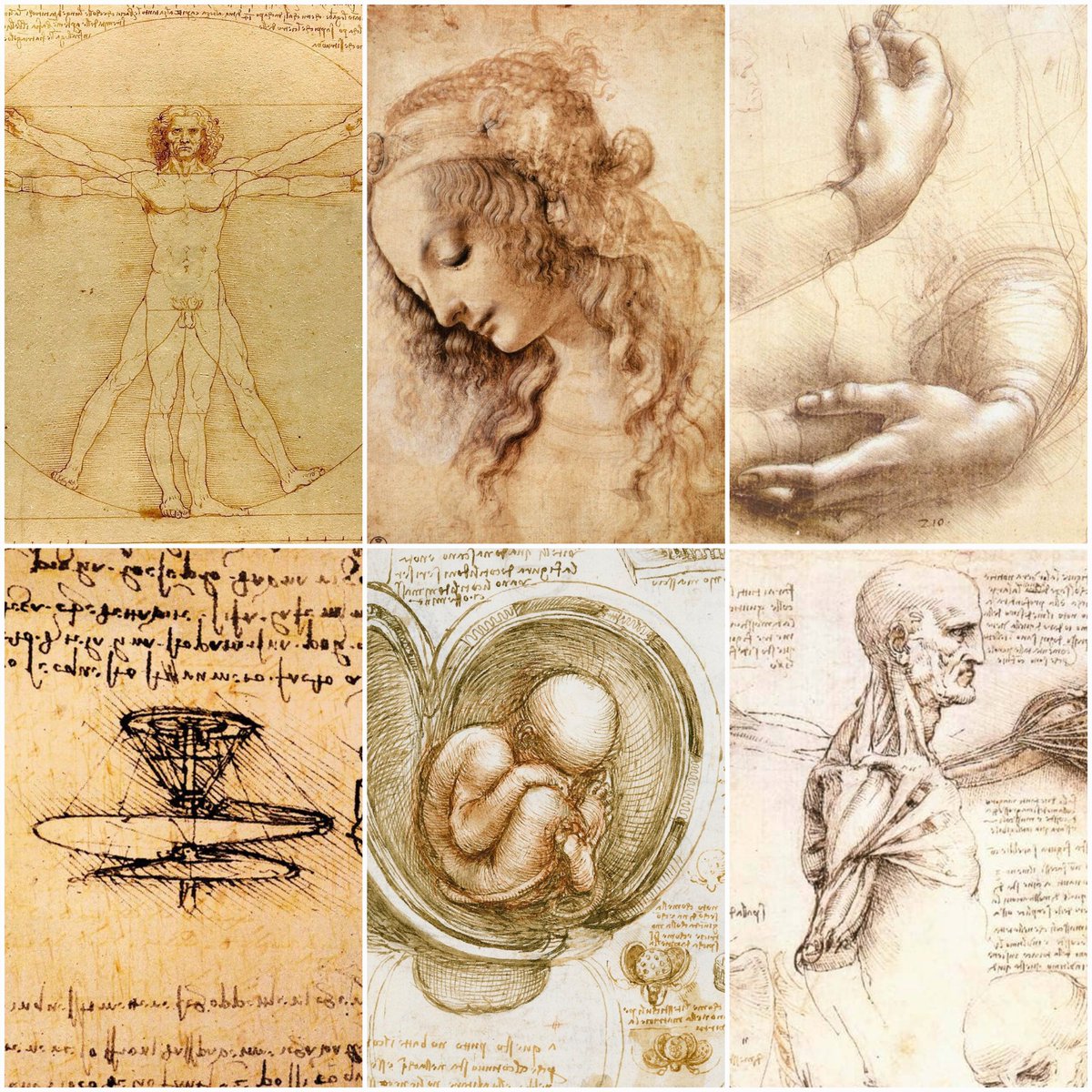X_ArtGallery's tweet image. Leonardo da Vinci - Drafts