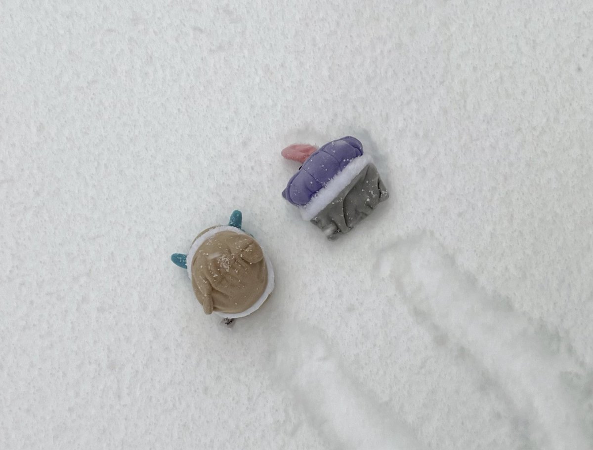 シェルダーとオムナイト tweet media