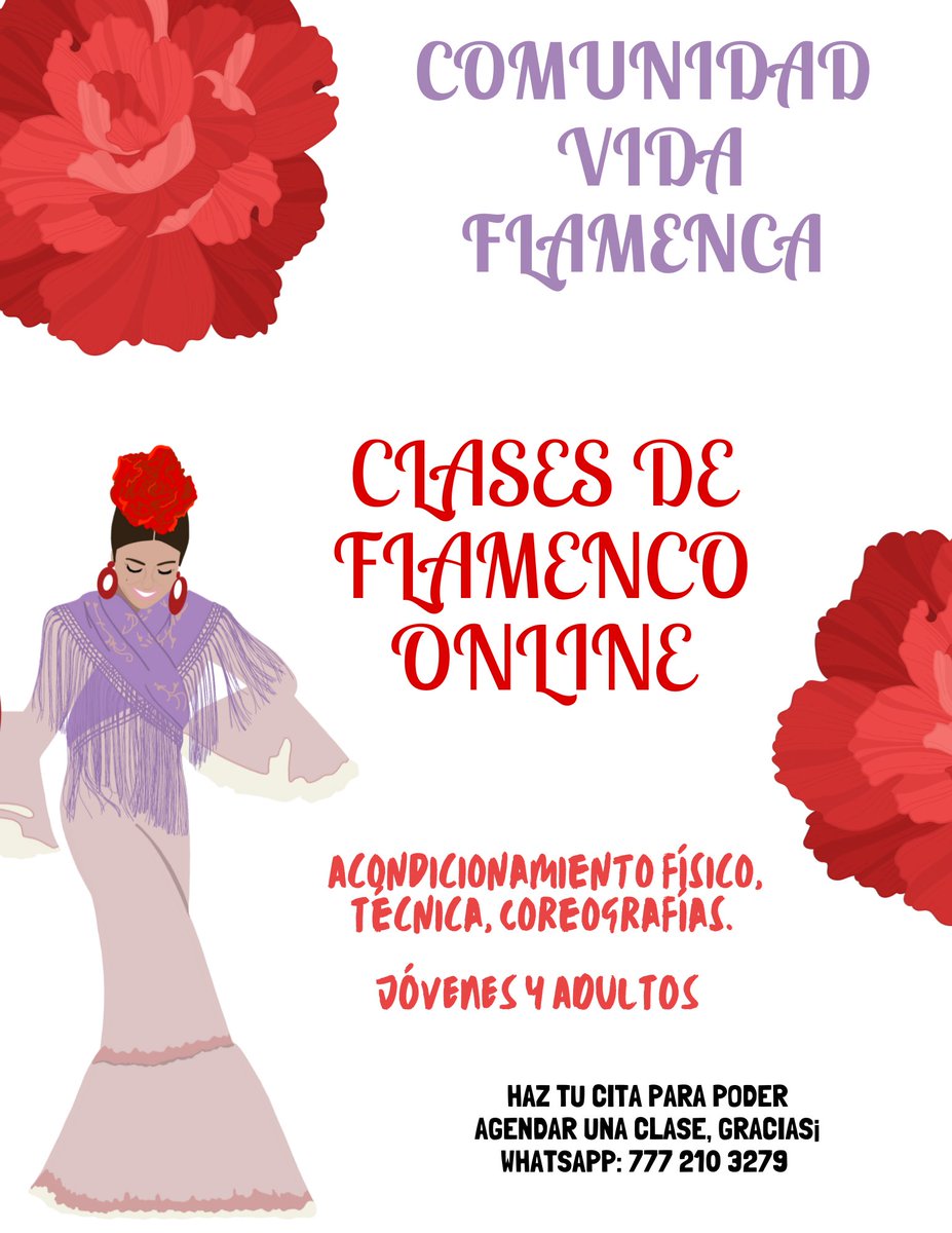 Vida Flamenca tweet media