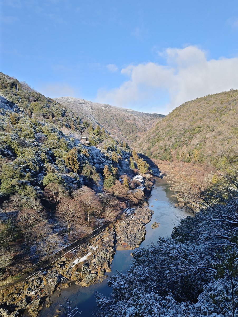 hitomihcx's tweet photo. Kameyama Park/亀山公園/2026.01.03
#Kyoto #京都 #arashiyama #嵐山
#KameyamaPark #亀山公園
#ArashiyamaPark #嵐山公園
#NearbyPark #近所の公園
#ObservationPlatform #展望台
#JapaneseAndromeda #馬酔木 #アセビ
#CoralArdisia #万両
#snow #雪 https://t.co/gnLD0I6IxO