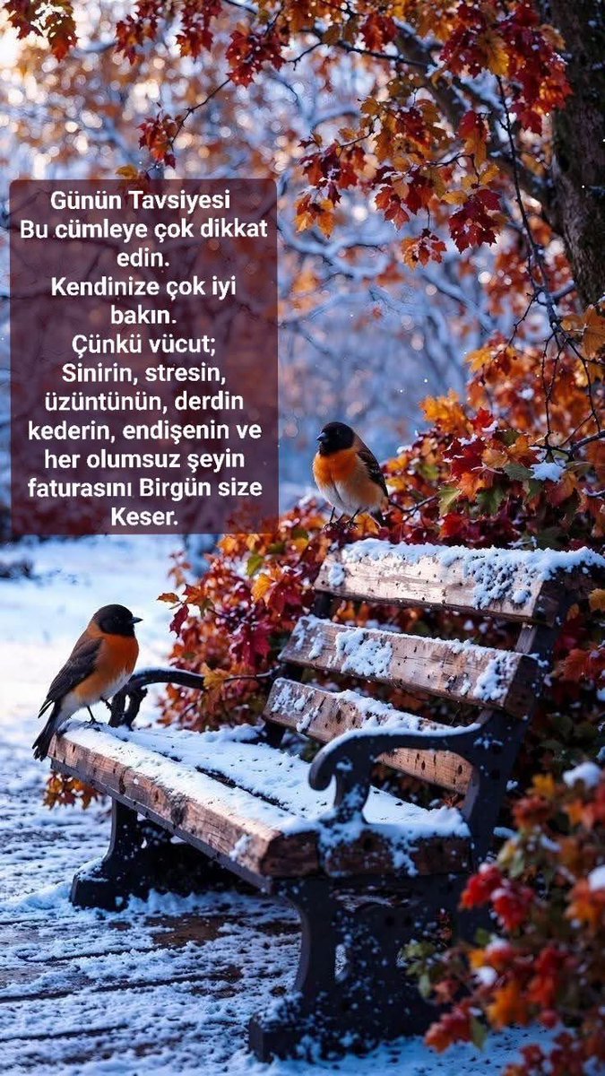 kartalmustip1's tweet image. Günaydın YAŞAMAK 
Merhaba HAYAT 
Her sabah
Kırıldığımız yerden
Onarıp kanatlarımızı.
Yeniden başlıyoruz yaşamaya.
     Adı HAYAT işte.
      
Bugün yepyeni bir sayfa açın hayatınızda!!
Bembeyaz  olsun!!
Saf, temiz, yalın, duru ve berrak düşüncelerle,
 duygularla dolsun..…