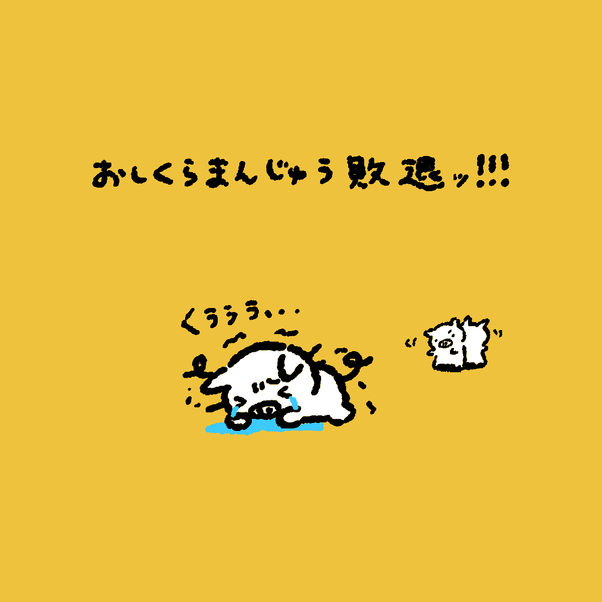 ぶたさん tweet media