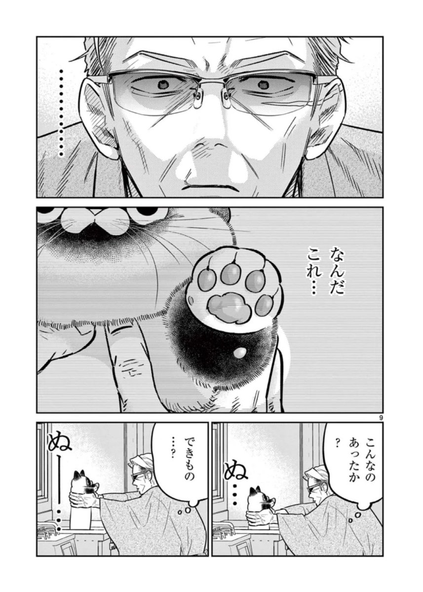 Post by オヤジとにゃん吉🐾公式 on X: 発見💡