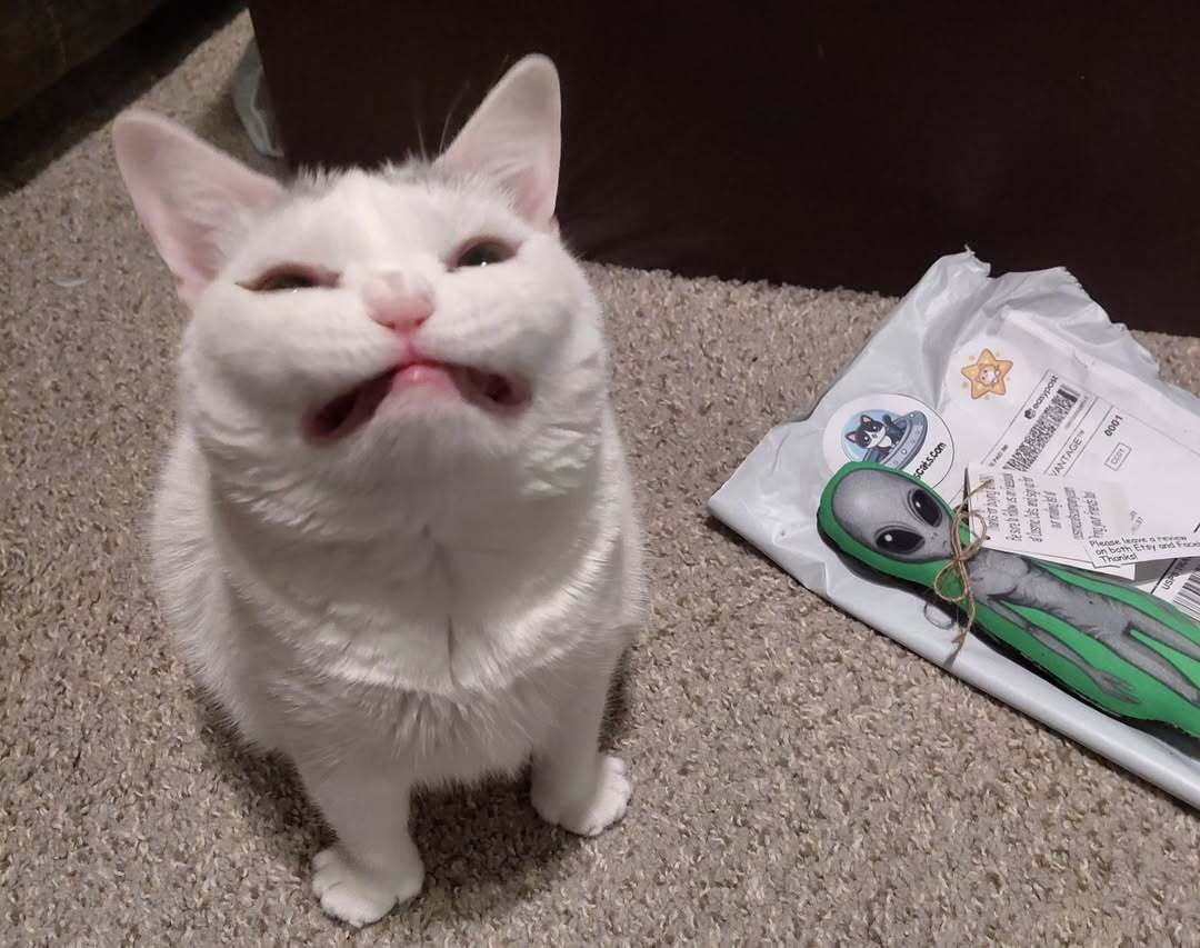 𝟯𝟲𝟵.𝐛𝐞𝐬 tweet media