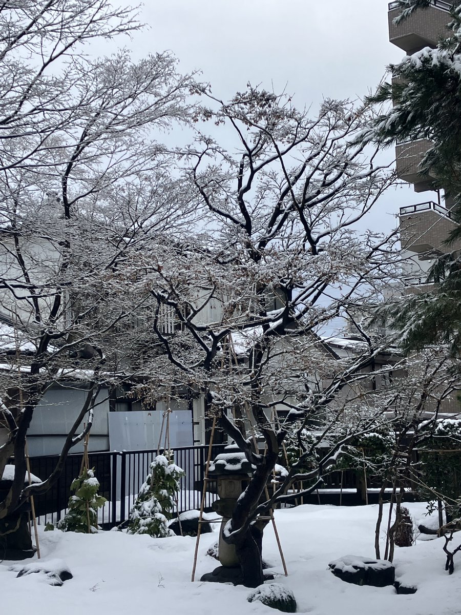 これはこれで風情があります。
＃長岡市
＃河井継之助
＃河井継之助記念館