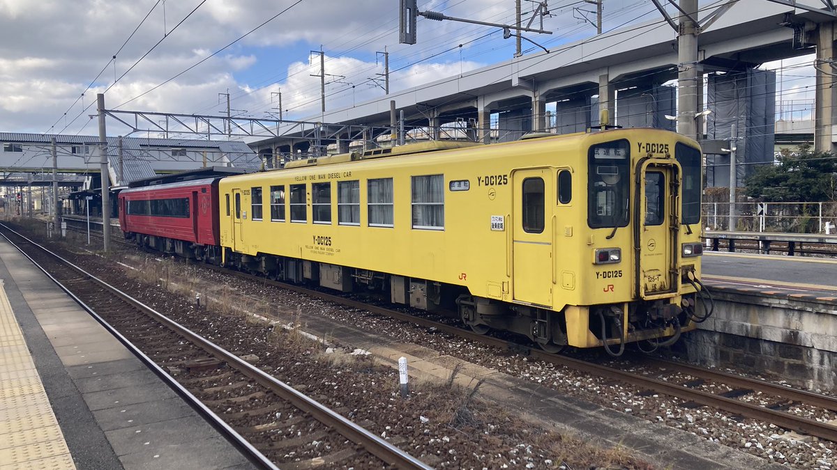 キバゴ キハイッパーゴ (@dc185) / Posts / X