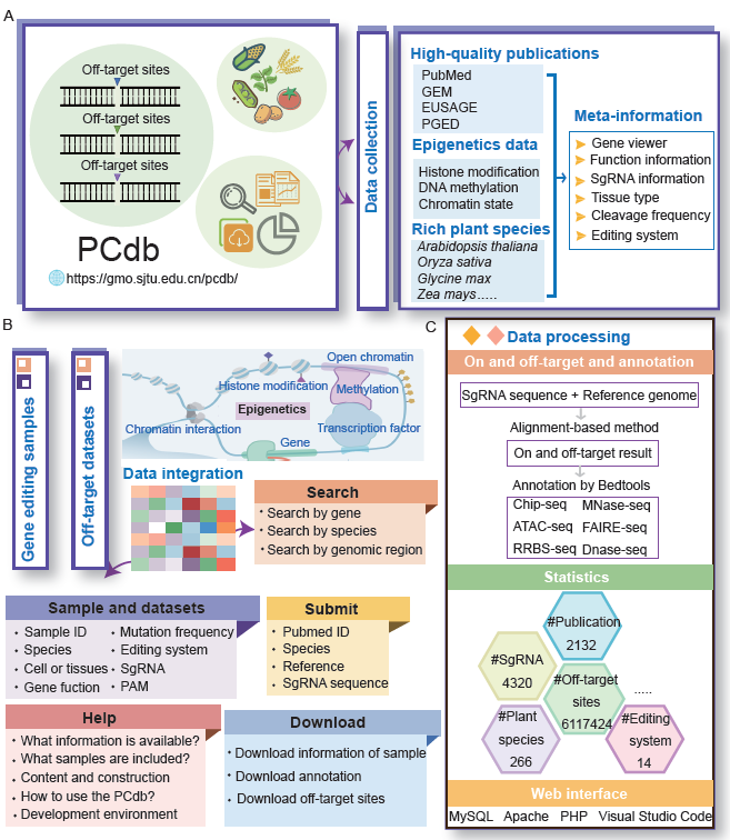 MPlantPCom's tweet image. PCdb: A comprehensive plant genome editing database integrating sgRNA efficiency, off-target predictions, and epigenomic landscapes #resource #PlantCommunications cell.com/plant-communic…