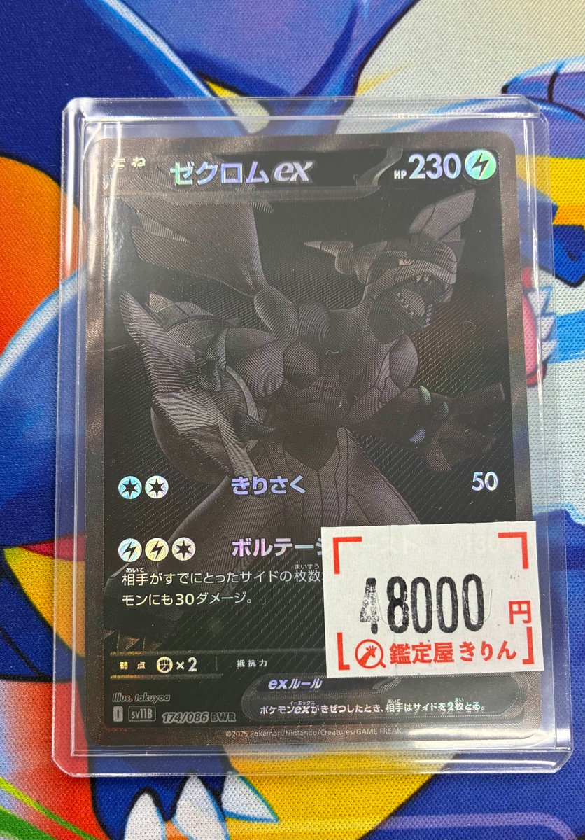 🦒鑑定屋きりん入荷情報🦒】 ゼクロムBWR入荷いたしました🦒🔍 気に