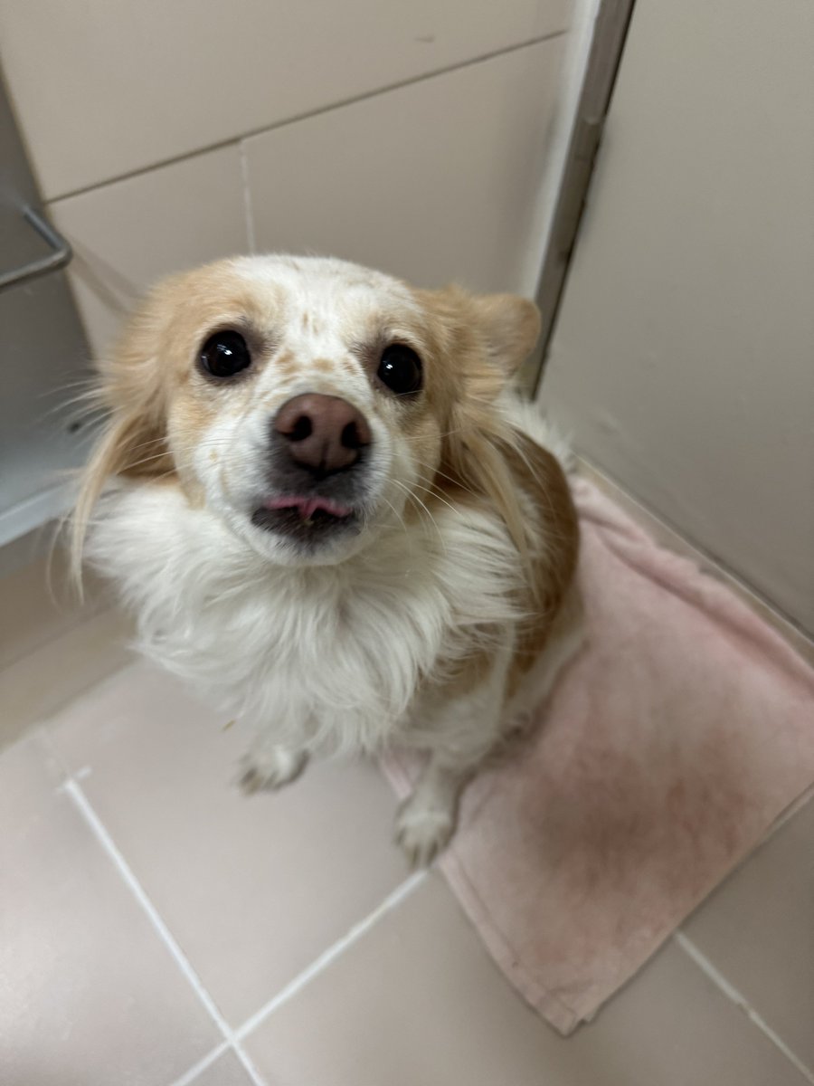 약간 화난 분위기 스톡 사진 140846974 | Shutterstock, image size:900x1200