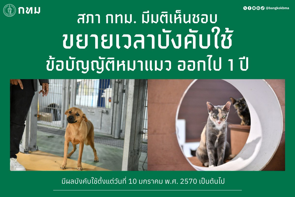 st_runth's tweet image. จากในอีพี ที่แจ้งว่า อชช จะเอาเข้าสภา กทม. เพื่อขอขยายเวลาบังคับใช้ออกไป 1 ปี สรุปแล้วสภา กทม เห็นชอบให้ขยายเวลาออกไป

ข้อบัญญัตินี้ จึงมีผลบังคับใช้ 10 มค 70 เป้นต้นไป

ให้ยังไม่ได้พาน้องหมา-แมว (เฉพาะที่อยู่ในกรุงเทพฯ) ไปฝังชิป ก็อยากลืมพาไปฝังชิปกันด้วยนะครับ