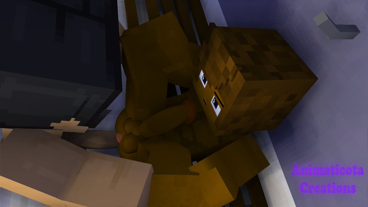 Animaticota tweet media