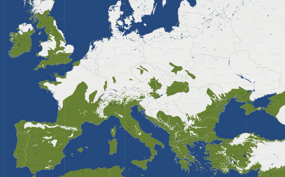 Unwetterradar Deutschland tweet media