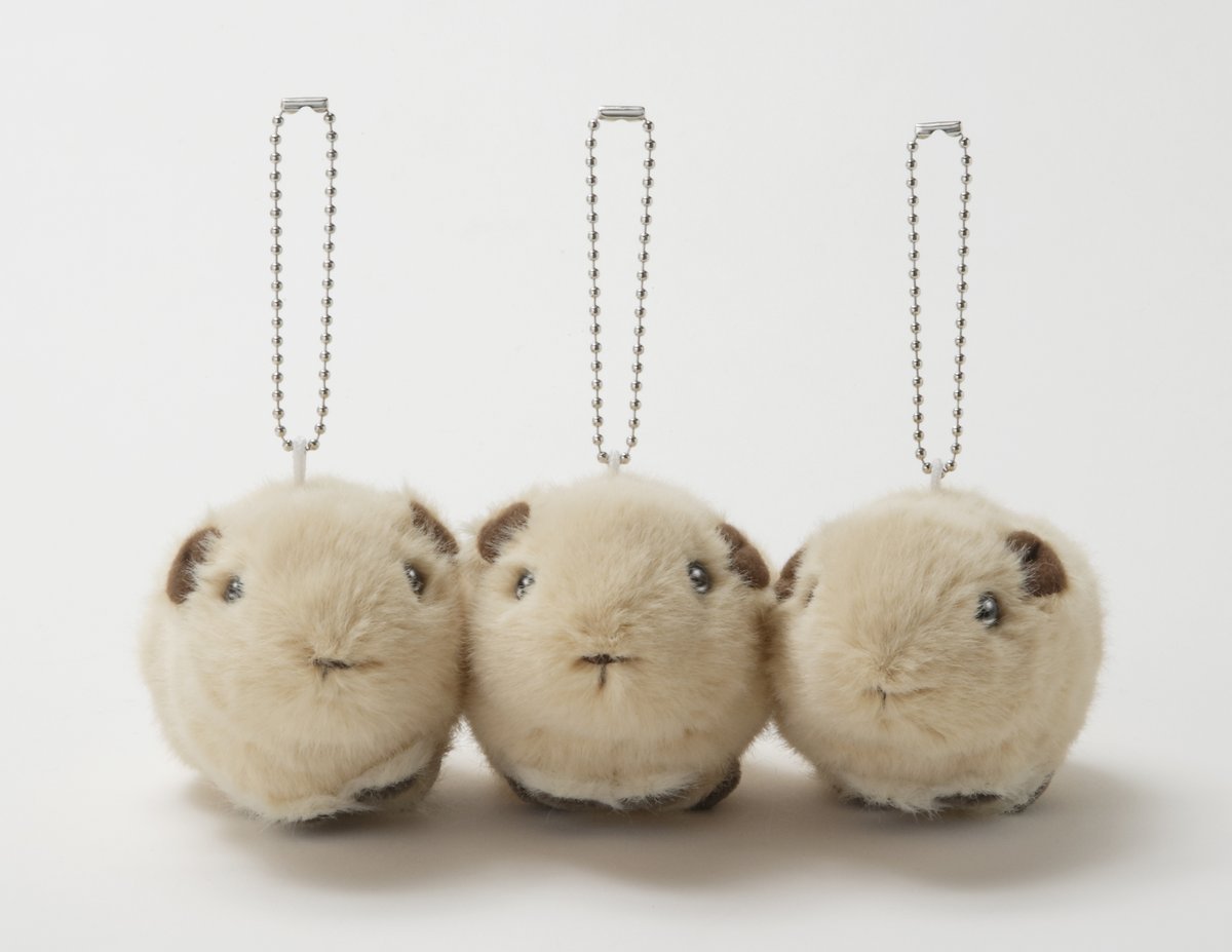 ぱぴこ (@pppppppapico) / Posts / X