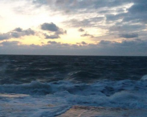 Катерина Галич tweet media