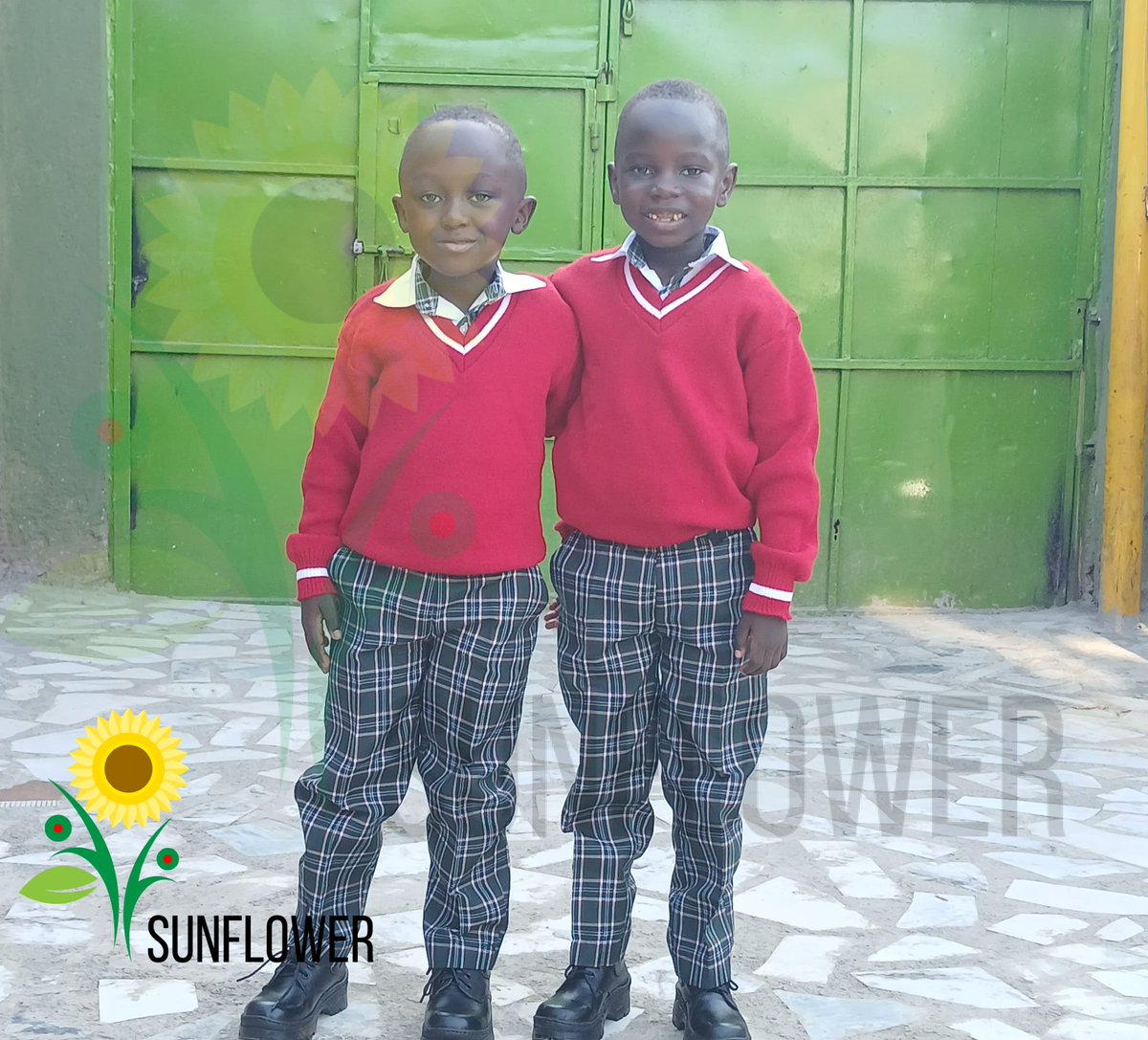 Sunflower Trust tweet media