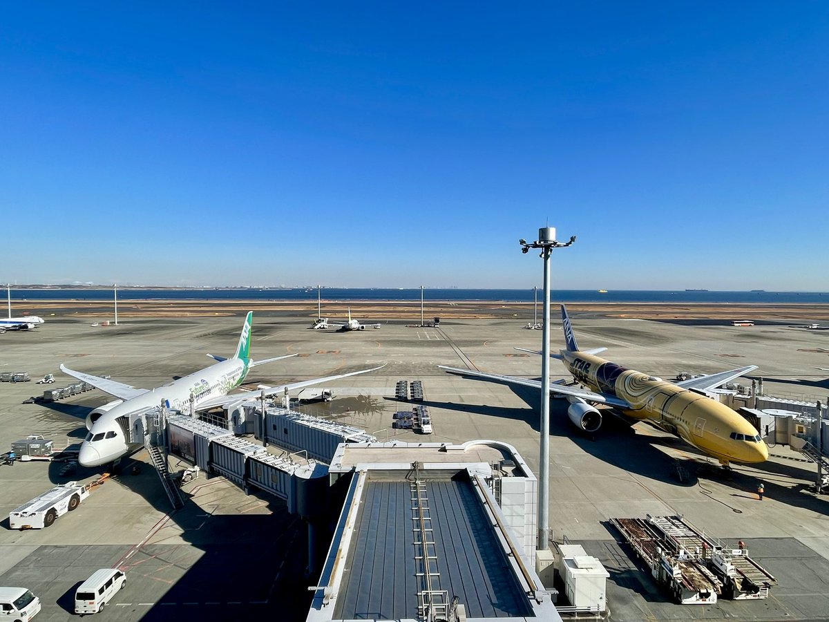 みどちゃんです ユニフォーム Alpinestars ZX EVO V2 Fireproof Shirt @ Competition