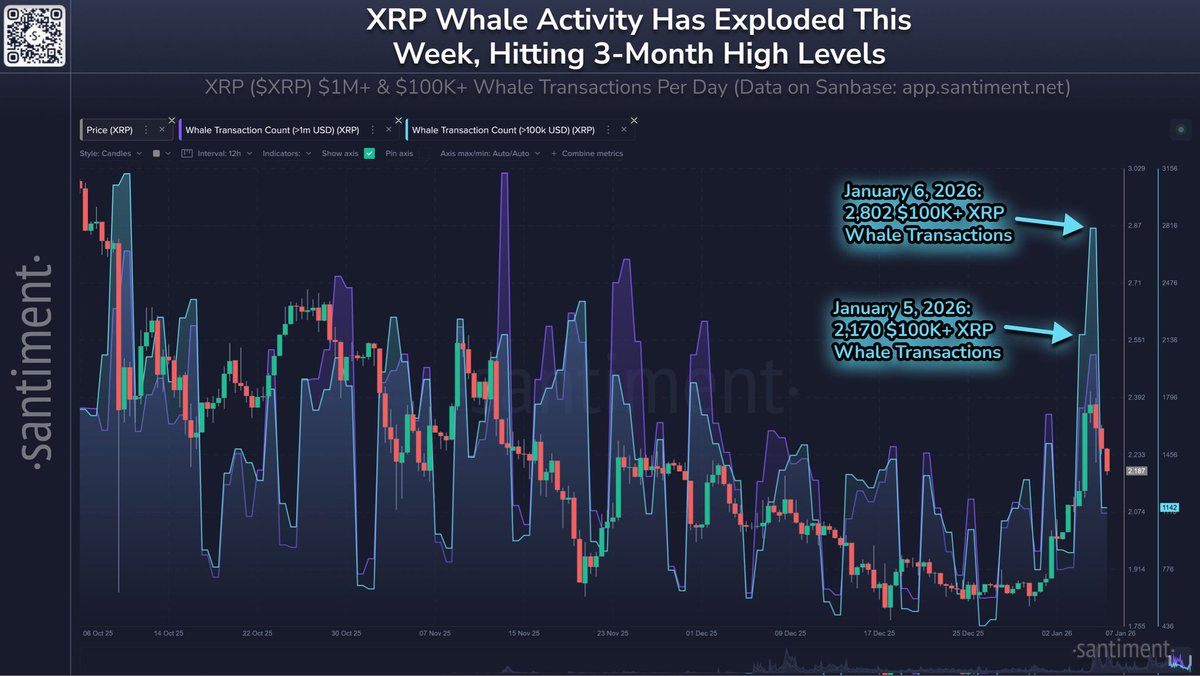 🚨 LATEST: XRP WHALE ACTIVITY EXPLODES TO 3-MONTH HIGHS! 2,802 TRANSACTIONS  OVER $100K RECORDED YESTERDAY! INCREASED VOLATILITY AHEAD? (Santiment) #XRP  #Crypto #WhaleAlert #Volatility #Santiment