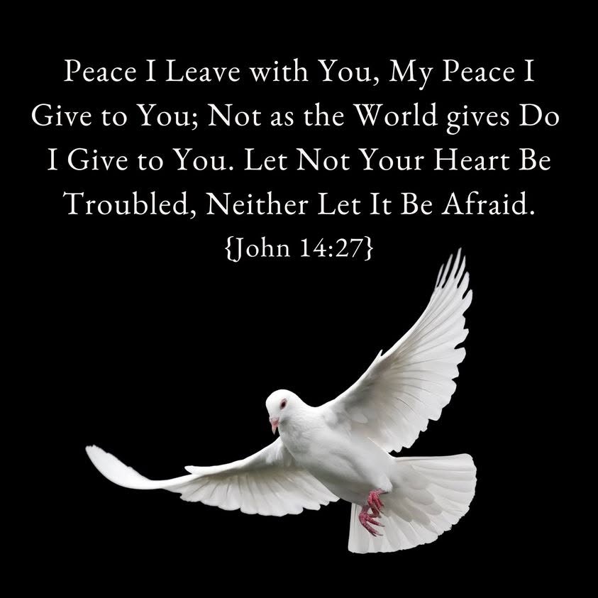 thestro's tweet image. 