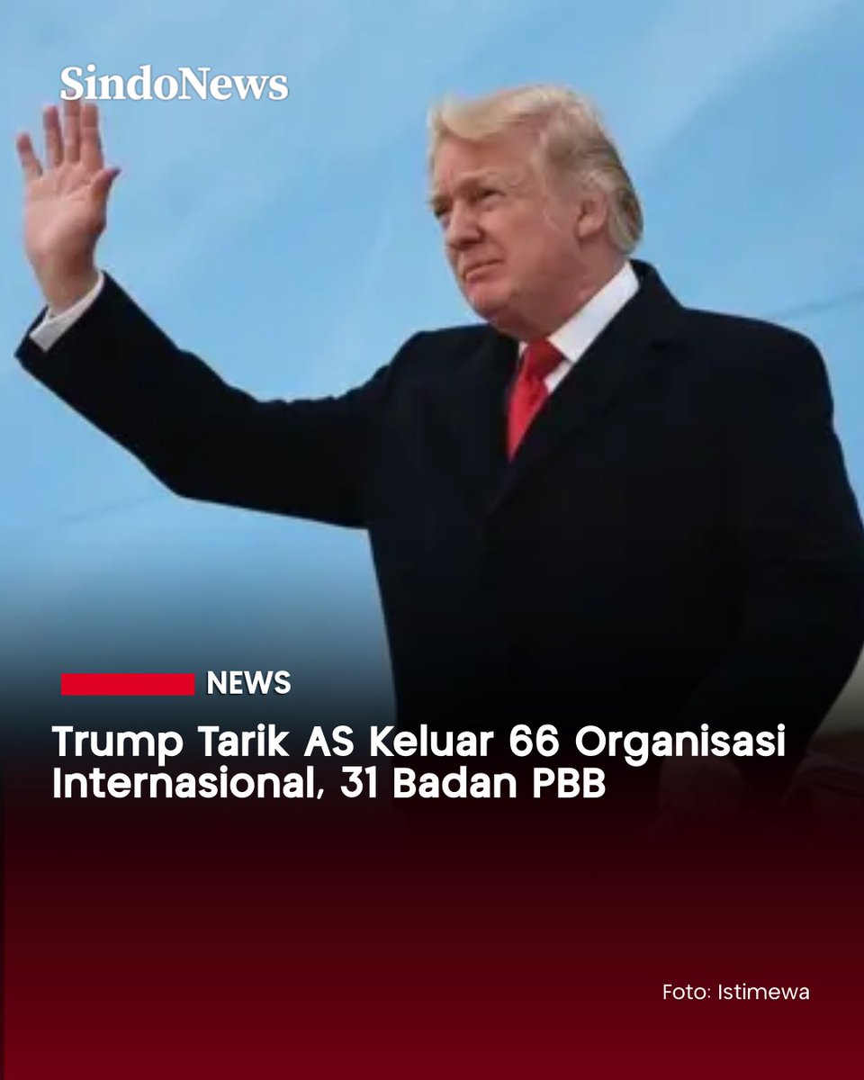 SINDOnews tweet media