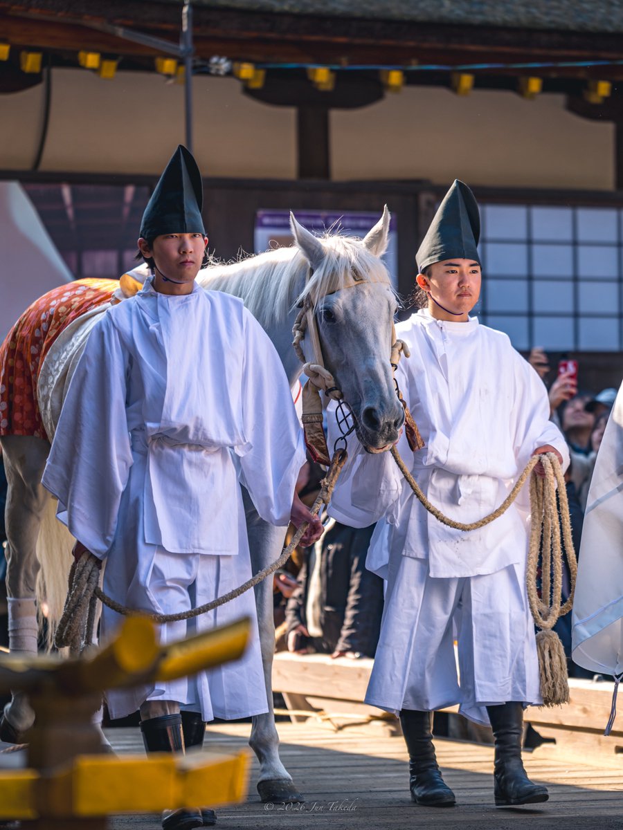 man_tac's tweet photo. 京都上賀茂神社・白馬奏覧神事✨
牽馬の儀の神山号さん🐴
2026.1.7撮影

#京都よきかな 
Leica SL2-S x SIGMA 70-200mm F2.8 DG DN OS | Sports https://t.co/f36VEzwFXh